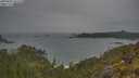 ./images/calvert/foggy-cove/20250605/foggy-cove20250605_131510M.jpg