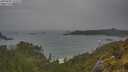./images/calvert/foggy-cove/20250605/foggy-cove20250605_134508M.jpg