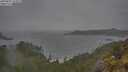 ./images/calvert/foggy-cove/20250605/foggy-cove20250605_143009M.jpg