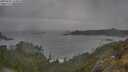 ./images/calvert/foggy-cove/20250605/foggy-cove20250605_144010M.jpg
