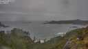 ./images/calvert/foggy-cove/20250605/foggy-cove20250605_144510M.jpg
