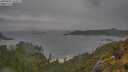 ./images/calvert/foggy-cove/20250605/foggy-cove20250605_145009M.jpg