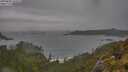 ./images/calvert/foggy-cove/20250605/foggy-cove20250605_145508M.jpg