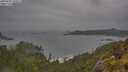 ./images/calvert/foggy-cove/20250605/foggy-cove20250605_150011M.jpg