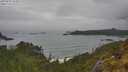 ./images/calvert/foggy-cove/20250605/foggy-cove20250605_152009M.jpg