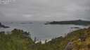 ./images/calvert/foggy-cove/20250605/foggy-cove20250605_153011M.jpg