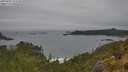 ./images/calvert/foggy-cove/20250605/foggy-cove20250605_153510M.jpg
