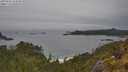 ./images/calvert/foggy-cove/20250605/foggy-cove20250605_154010M.jpg