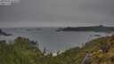 ./images/calvert/foggy-cove/20250605/foggy-cove20250605_162010M.jpg