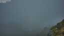 ./images/calvert/foggy-cove/20250606/foggy-cove20250606_054008M.jpg