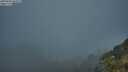 ./images/calvert/foggy-cove/20250606/foggy-cove20250606_055008M.jpg