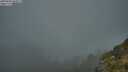 ./images/calvert/foggy-cove/20250606/foggy-cove20250606_060011M.jpg