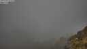 ./images/calvert/foggy-cove/20250606/foggy-cove20250606_060509M.jpg