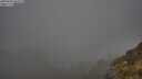 ./images/calvert/foggy-cove/20250606/foggy-cove20250606_061010M.jpg