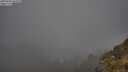 ./images/calvert/foggy-cove/20250606/foggy-cove20250606_062010M.jpg