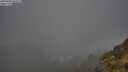 ./images/calvert/foggy-cove/20250606/foggy-cove20250606_062509M.jpg