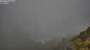./images/calvert/foggy-cove/20250606/foggy-cove20250606_063509M.jpg
