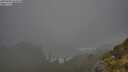 ./images/calvert/foggy-cove/20250606/foggy-cove20250606_064010M.jpg