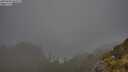./images/calvert/foggy-cove/20250606/foggy-cove20250606_064509M.jpg