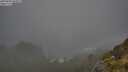 ./images/calvert/foggy-cove/20250606/foggy-cove20250606_065009M.jpg