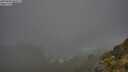 ./images/calvert/foggy-cove/20250606/foggy-cove20250606_065507M.jpg