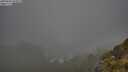 ./images/calvert/foggy-cove/20250606/foggy-cove20250606_070008M.jpg