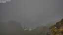 ./images/calvert/foggy-cove/20250606/foggy-cove20250606_073510M.jpg