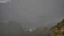 ./images/calvert/foggy-cove/20250606/foggy-cove20250606_074010M.jpg