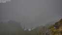./images/calvert/foggy-cove/20250606/foggy-cove20250606_074510M.jpg
