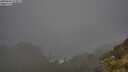 ./images/calvert/foggy-cove/20250606/foggy-cove20250606_075009M.jpg