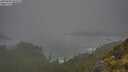 ./images/calvert/foggy-cove/20250606/foggy-cove20250606_082508M.jpg