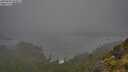 ./images/calvert/foggy-cove/20250606/foggy-cove20250606_083011M.jpg