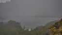 ./images/calvert/foggy-cove/20250606/foggy-cove20250606_083509M.jpg