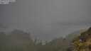 ./images/calvert/foggy-cove/20250606/foggy-cove20250606_090508M.jpg