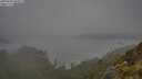 ./images/calvert/foggy-cove/20250606/foggy-cove20250606_091007M.jpg