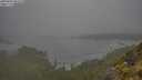 ./images/calvert/foggy-cove/20250606/foggy-cove20250606_092510M.jpg