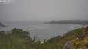 ./images/calvert/foggy-cove/20250606/foggy-cove20250606_101010M.jpg