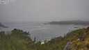 ./images/calvert/foggy-cove/20250606/foggy-cove20250606_101509M.jpg