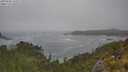 ./images/calvert/foggy-cove/20250606/foggy-cove20250606_110509M.jpg