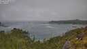 ./images/calvert/foggy-cove/20250606/foggy-cove20250606_112010M.jpg
