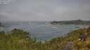 ./images/calvert/foggy-cove/20250606/foggy-cove20250606_113009M.jpg