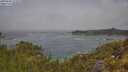./images/calvert/foggy-cove/20250606/foggy-cove20250606_113510M.jpg