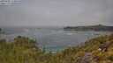 ./images/calvert/foggy-cove/20250606/foggy-cove20250606_114010M.jpg