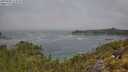 ./images/calvert/foggy-cove/20250606/foggy-cove20250606_114509M.jpg