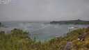 ./images/calvert/foggy-cove/20250606/foggy-cove20250606_115010M.jpg