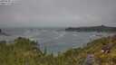 ./images/calvert/foggy-cove/20250606/foggy-cove20250606_115510M.jpg
