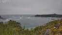 ./images/calvert/foggy-cove/20250606/foggy-cove20250606_122509M.jpg