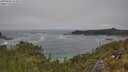 ./images/calvert/foggy-cove/20250606/foggy-cove20250606_123008M.jpg
