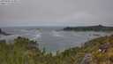 ./images/calvert/foggy-cove/20250606/foggy-cove20250606_124010M.jpg
