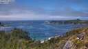./images/calvert/foggy-cove/20250606/foggy-cove20250606_135010M.jpg